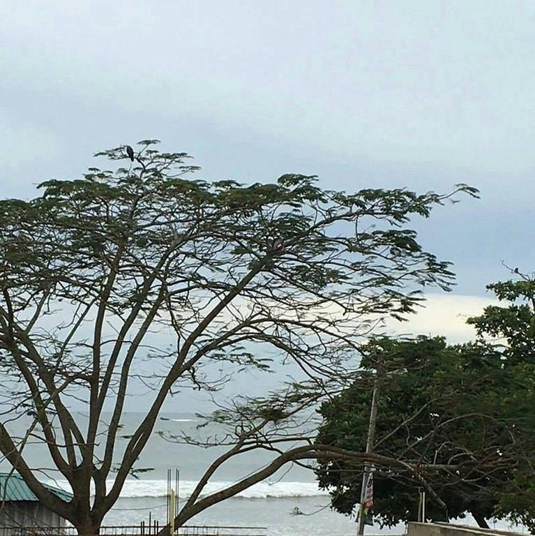 ווליגאמה Gold Coast Resort מראה חיצוני תמונה
